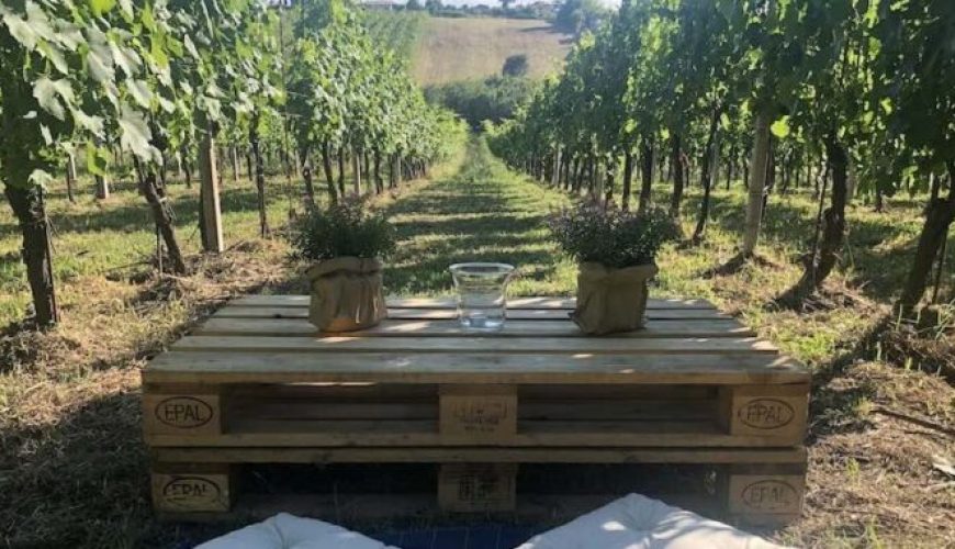 Vino Colli Albani DOP: Un Sorso di Sole e Storia!